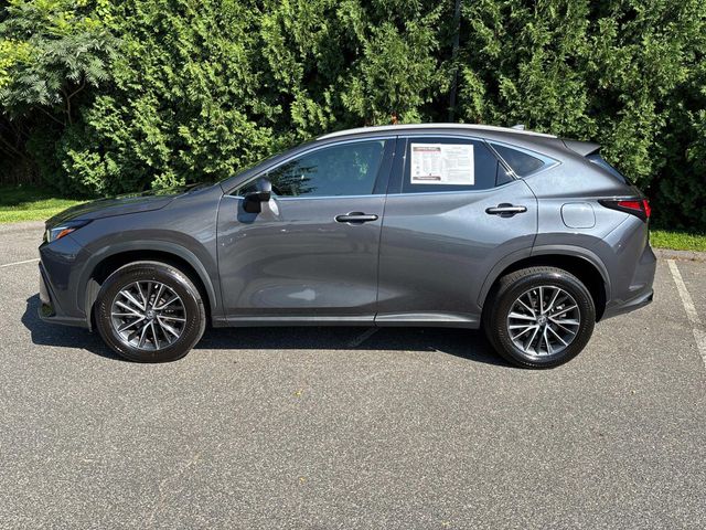 2022 Lexus NX 350h Luxury photo 8