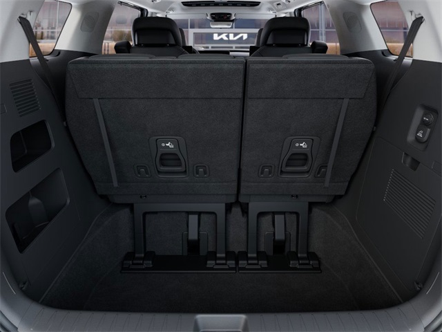 2026 Kia Carnival SX Prestige photo 19