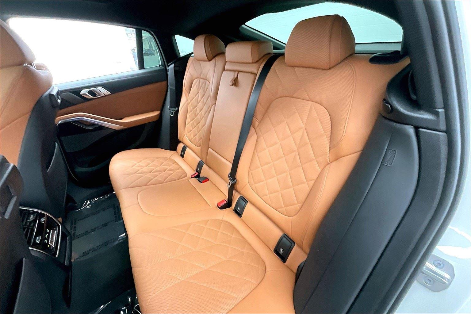 2023 Bmw X6 xDrive40i photo 11