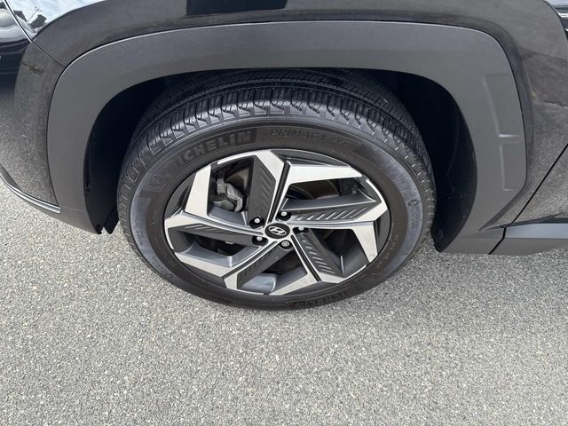 2023 Hyundai Tucson Limited photo 13
