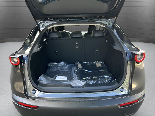 2025 Mazda CX-30 Select Sport photo 28
