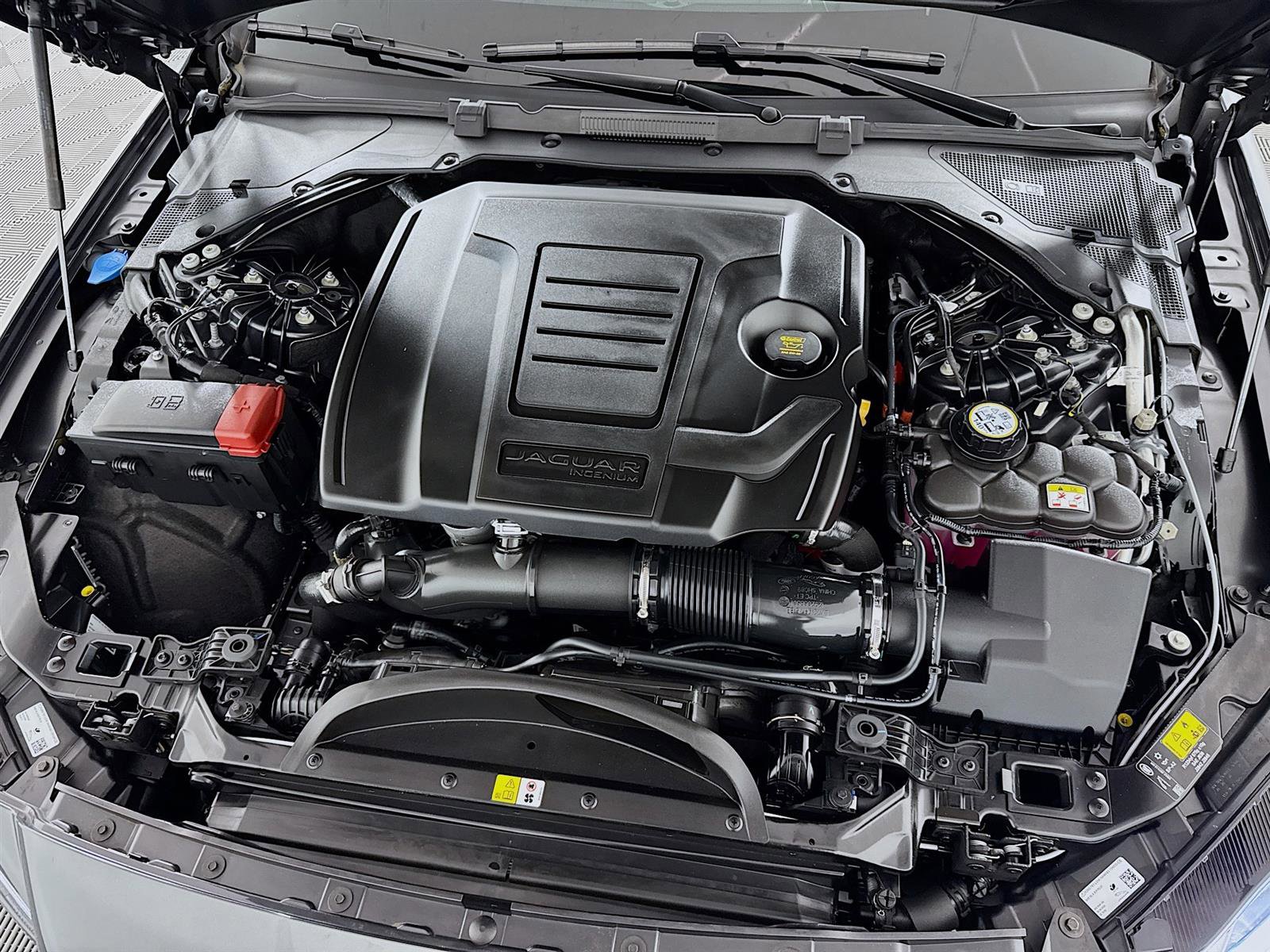 2024 Jaguar XF P300 R-Dynamic SE photo 31