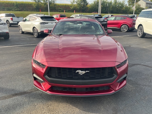 2025 Ford Mustang EcoBoost photo 2