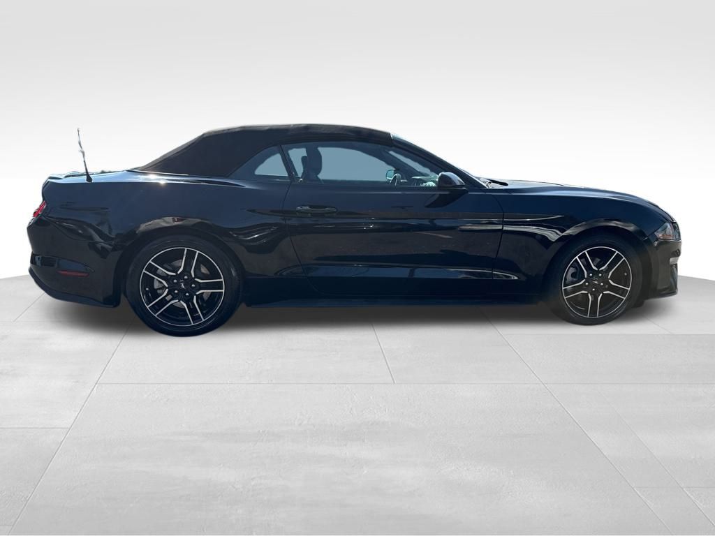 2021 Ford Mustang EcoBoost Premium photo 5