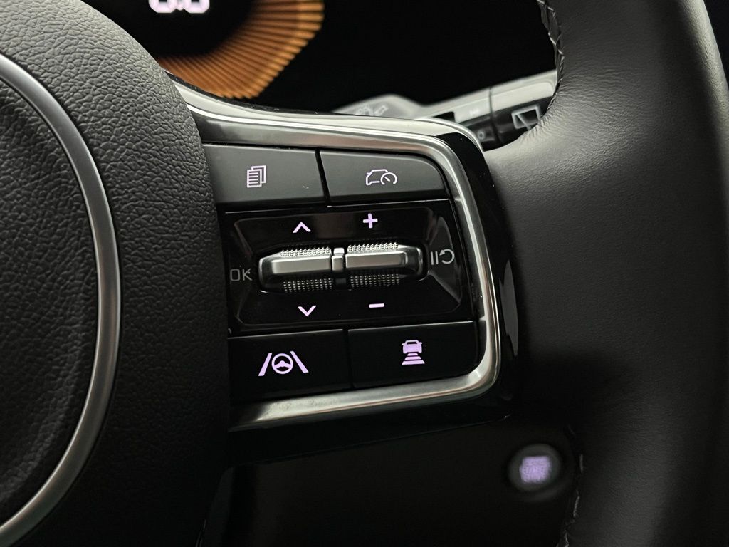 2025 Kia Carnival EX photo 30