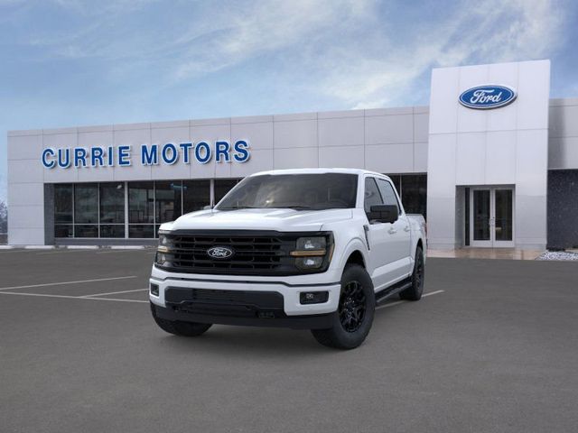 2025 FORD F-150 - Image 24