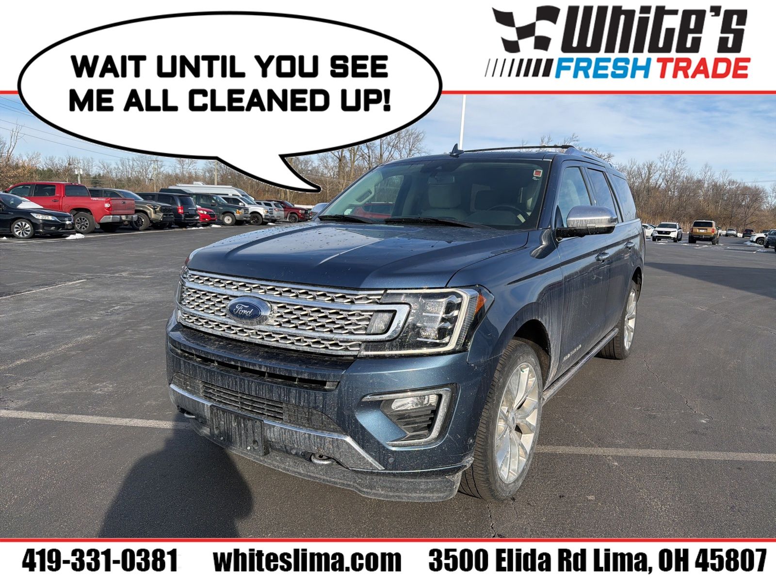 2019 Ford Expedition Platinum's photo