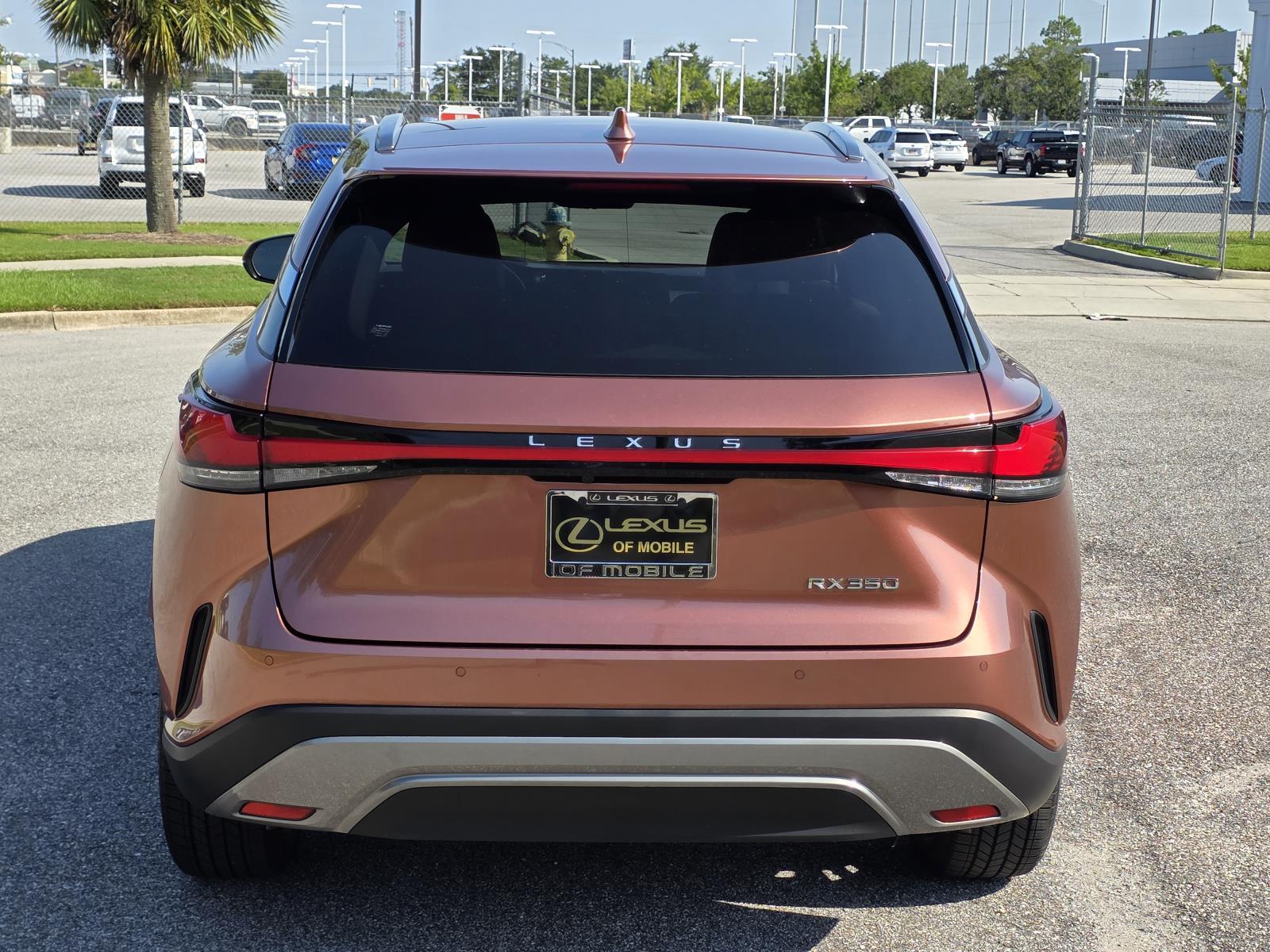 2023 Lexus RX 350 Premium photo 3