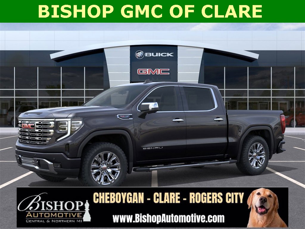 2025 Gmc Sierra 1500 Denali photo 4