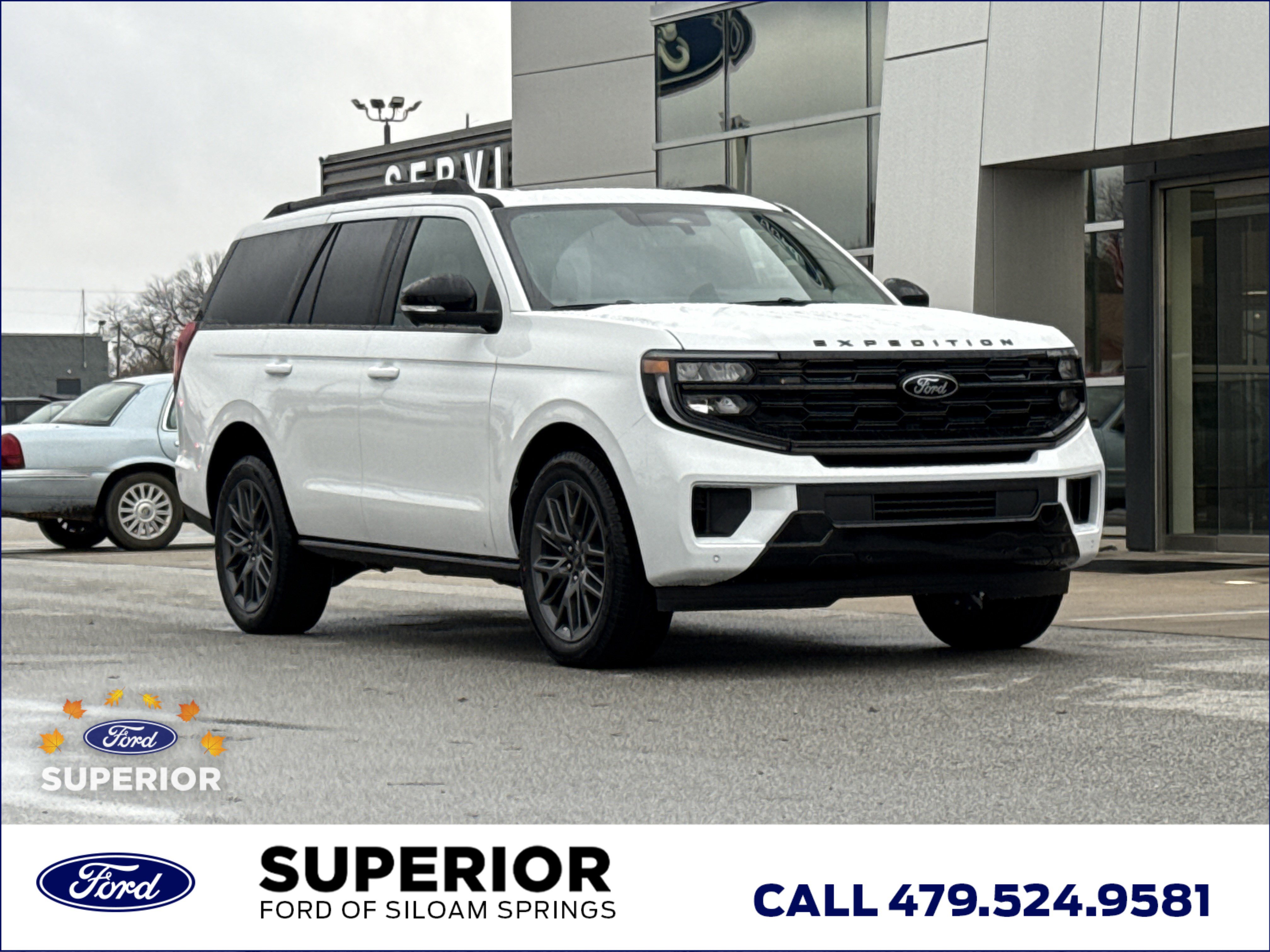 2025 Ford Expedition Platinum's photo