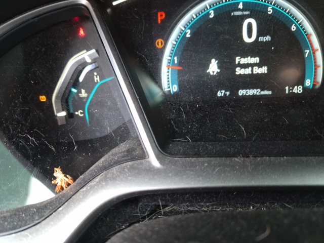 2020 Honda Civic EX photo 3