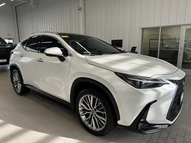 2024 Lexus NX 350's photo