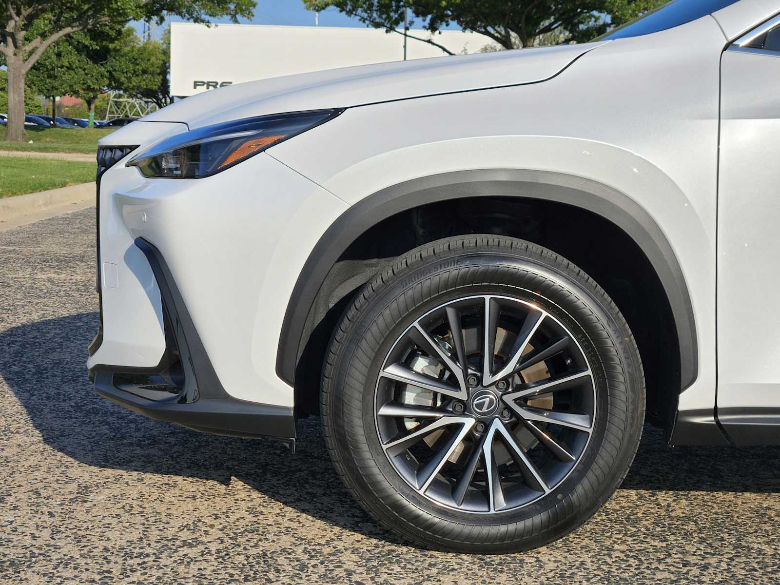 2025 Lexus NX 250 Premium photo 5