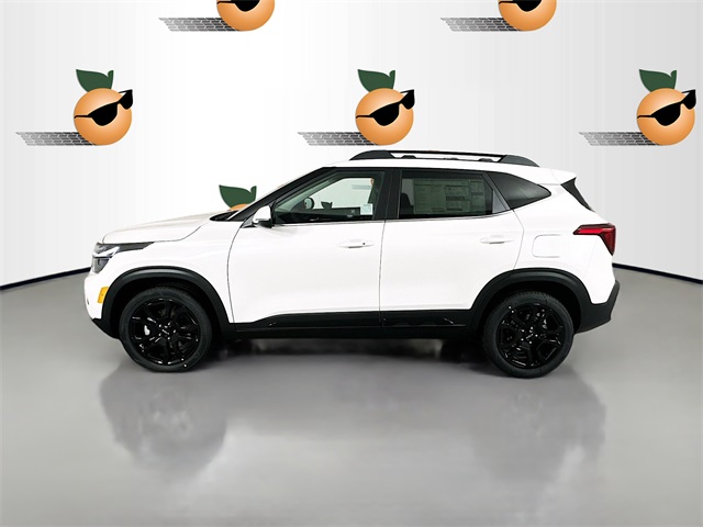 2024 Kia Seltos X-Line photo 4