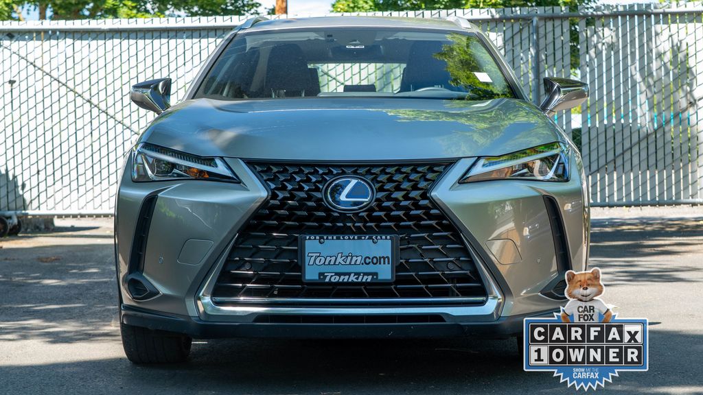2021 Lexus UX 250h photo 2