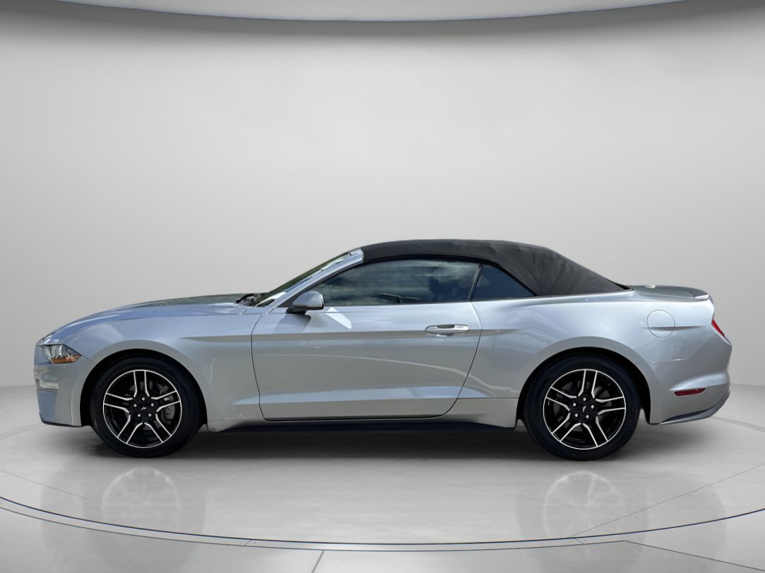 2023 Ford Mustang EcoBoost Premium photo 5
