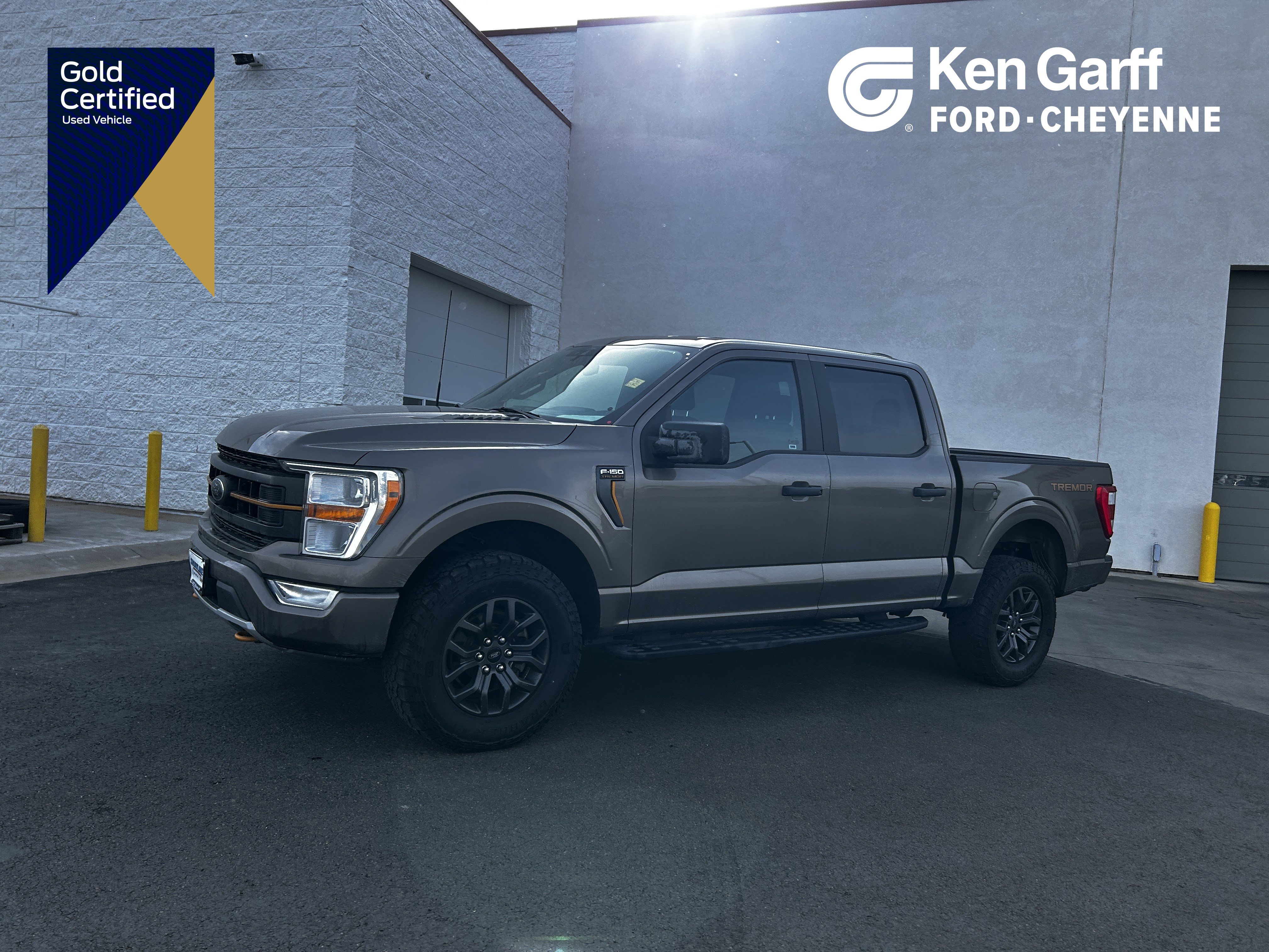 2022 Ford F-150 Tremor's photo