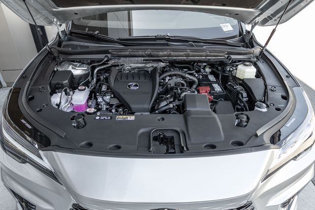 2025 Lexus RX 350 F SPORT photo 9