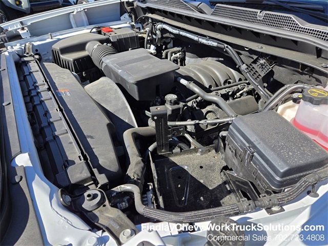 New 2024 Summit White Chevrolet WT image 17