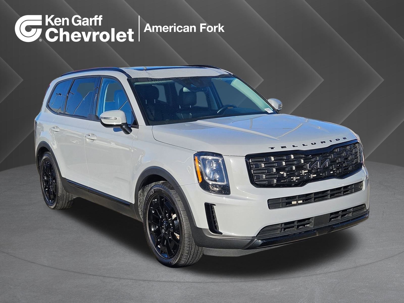 2022 Kia Telluride EX's photo