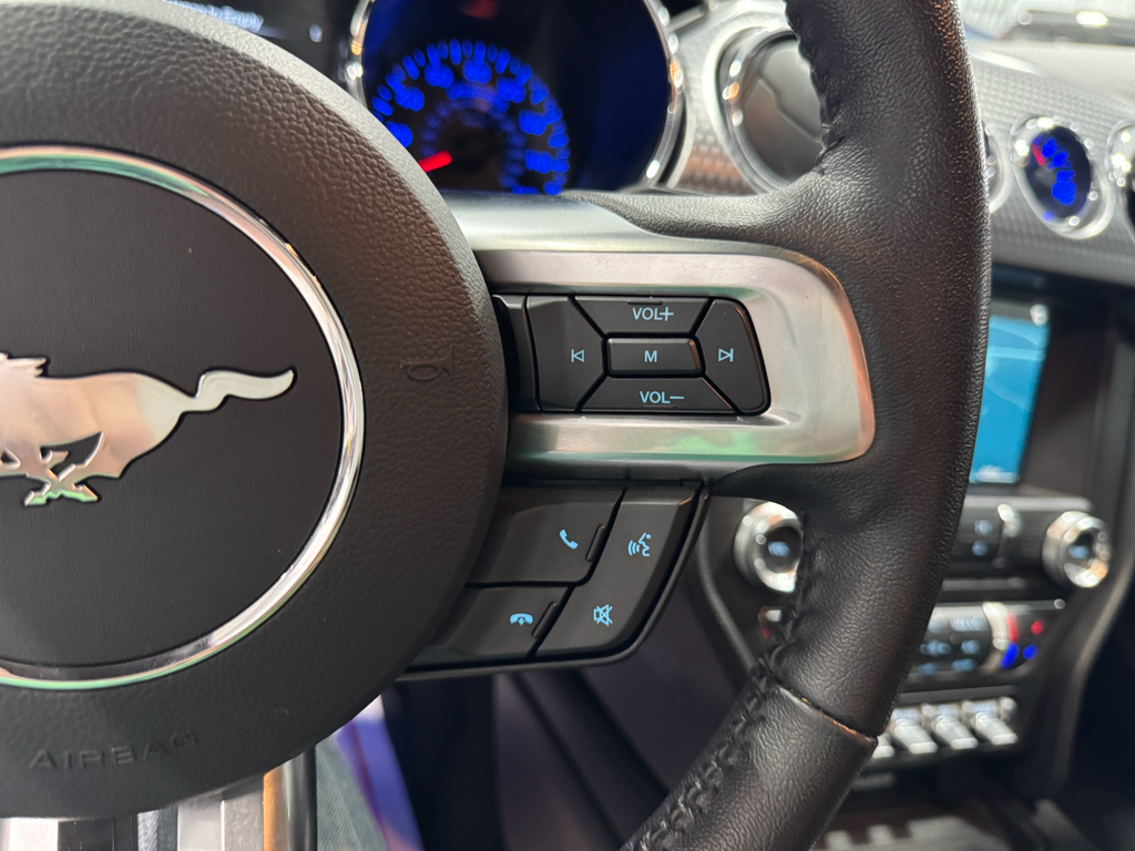 2017 Ford Mustang GT Premium photo 25