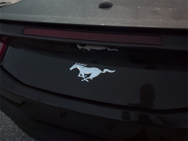 2025 Ford Mustang EcoBoost Premium Convertible photo 5