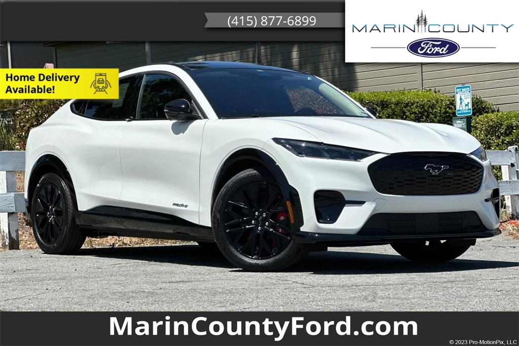 2025 Ford Mustang Mach-E Premium RWD's photo