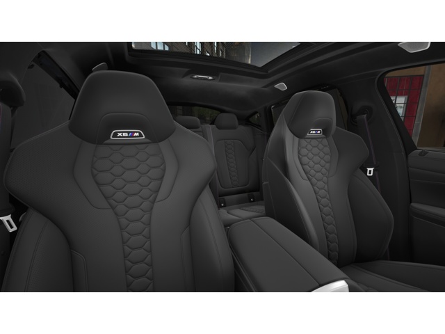 2026 Bmw X6 photo 10