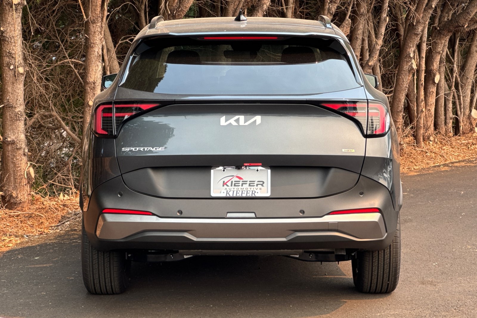 2026 Kia Sportage Hybrid EX photo 3