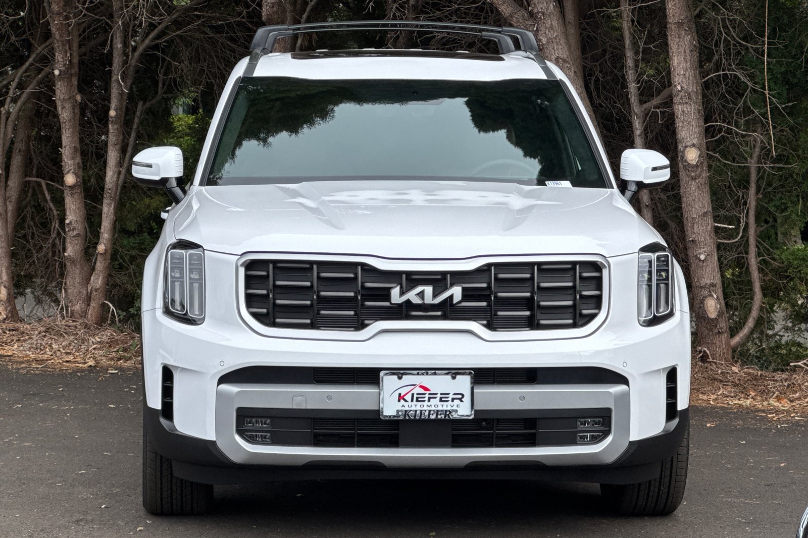 2025 Kia Telluride SX Prestige photo 4