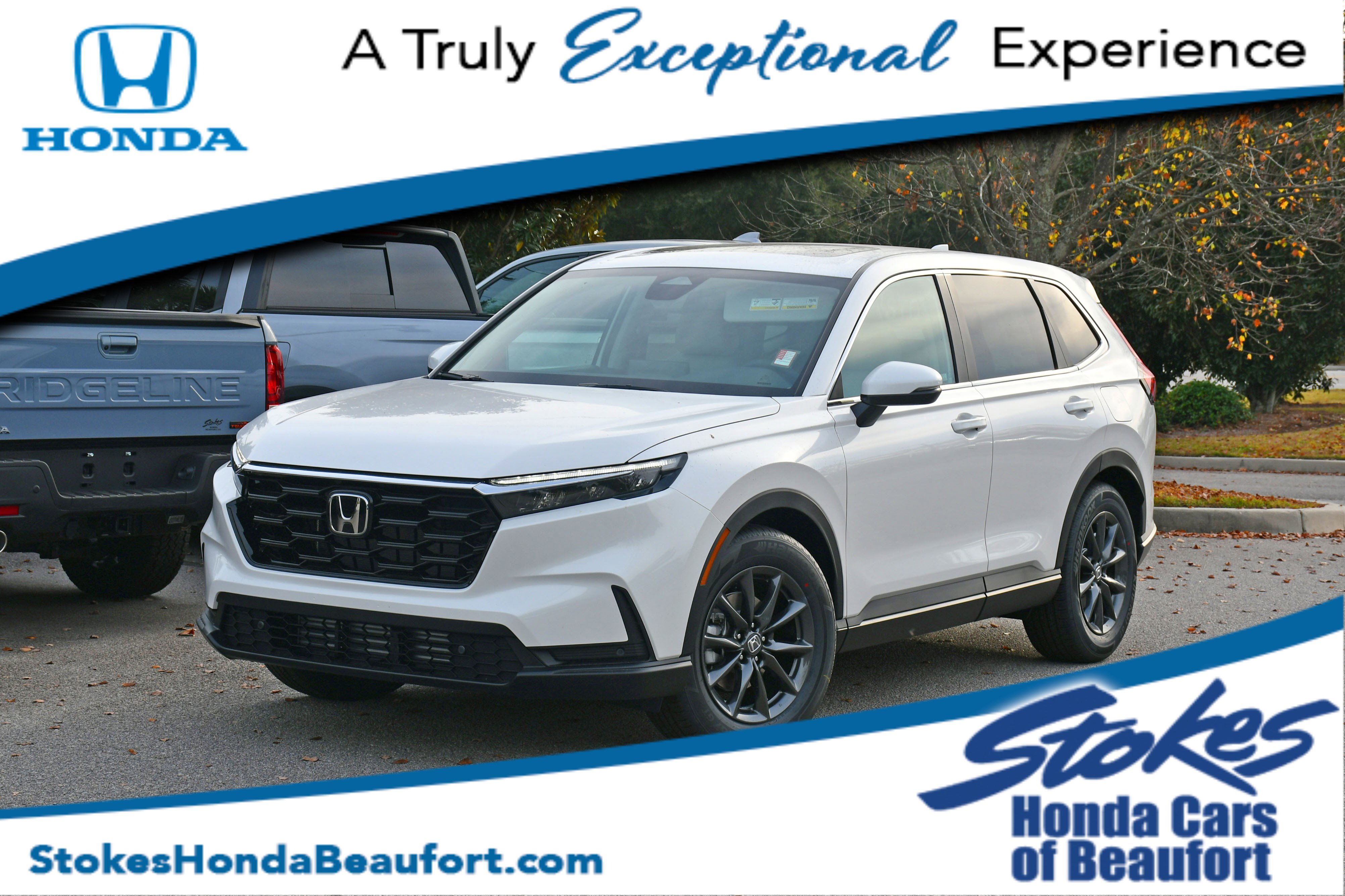 2026 Honda CR-V EX-L's photo