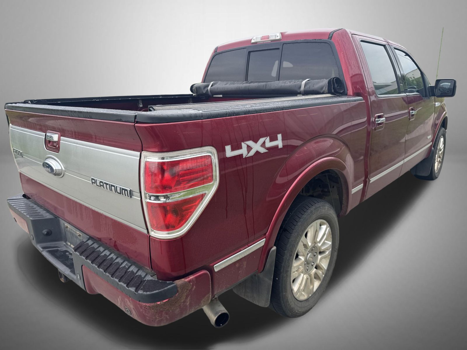 2013 Ford F-150 Platinum photo 4