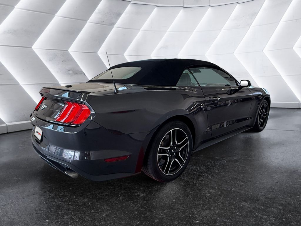 2023 Ford Mustang EcoBoost Premium photo 4