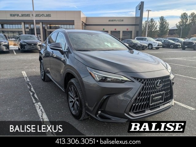 2023 Lexus NX Base's photo