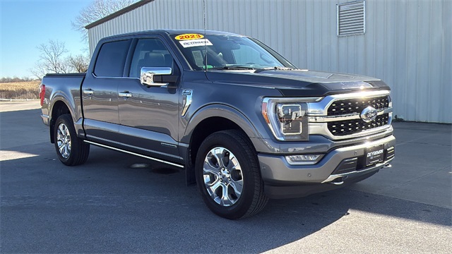 2023 Ford F-150 Platinum's photo