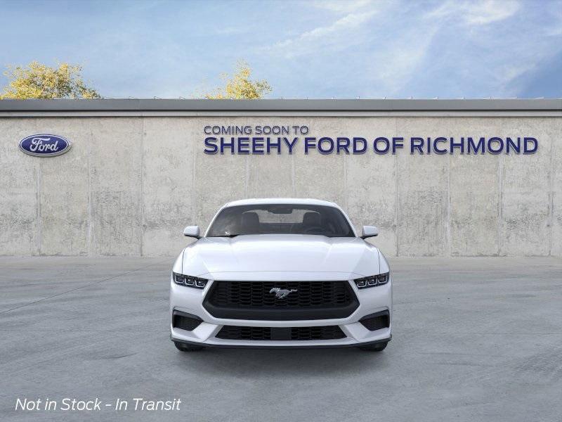 2025 Ford Mustang EcoBoost photo 3