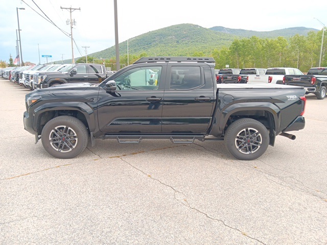 2024 Toyota Tacoma TRD Sport photo 2