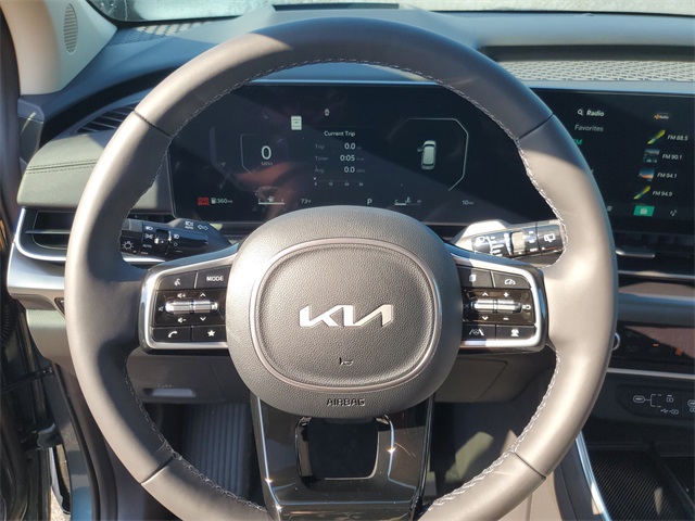 2026 Kia Carnival SX Prestige photo 16