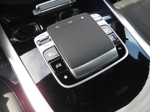 2025 Mercedes Benz G 550 photo 15
