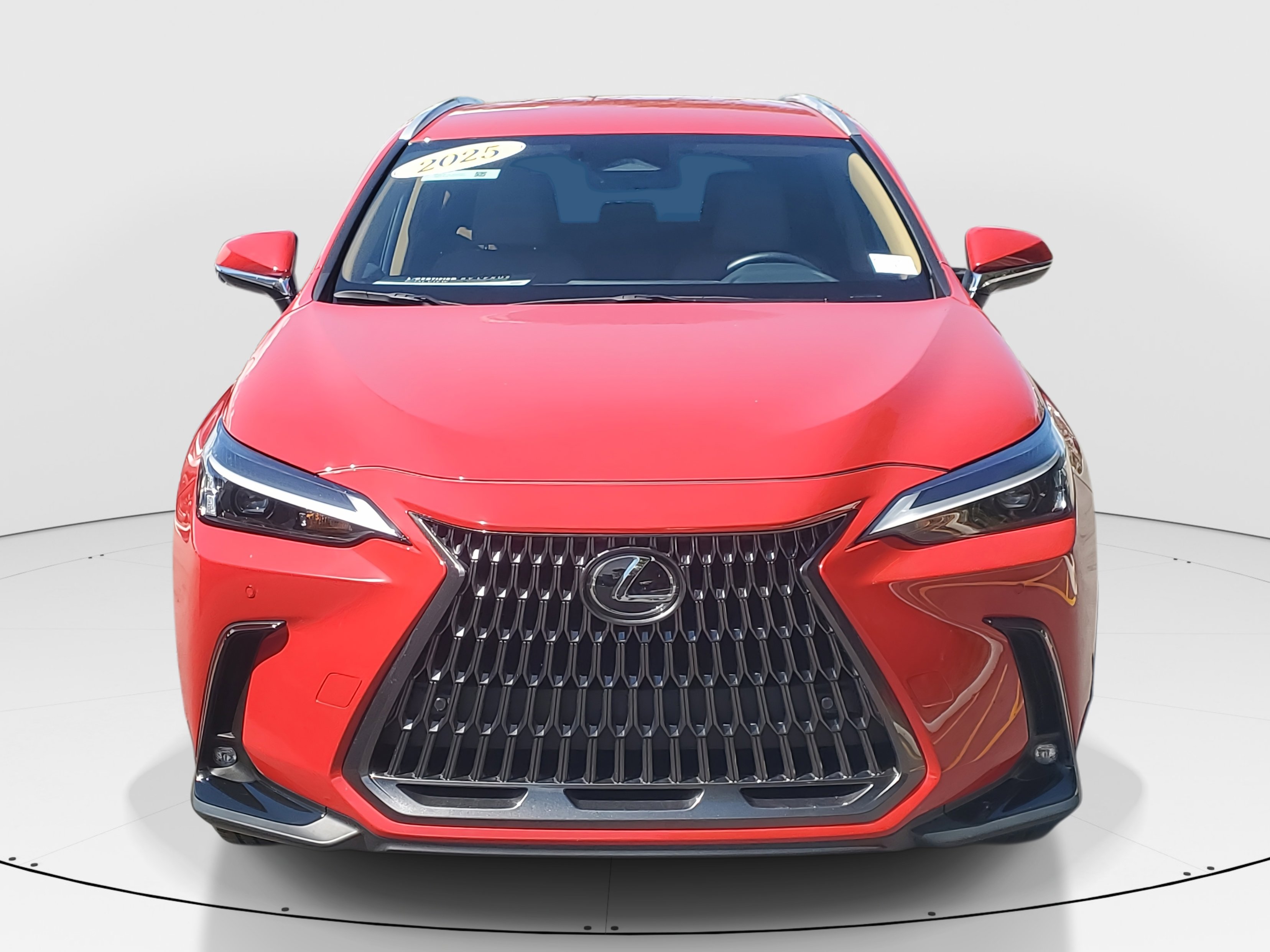 2025 Lexus NX 250 photo 3