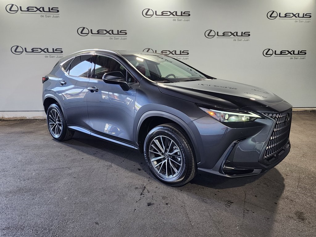 2025 Lexus NX 250 photo 3