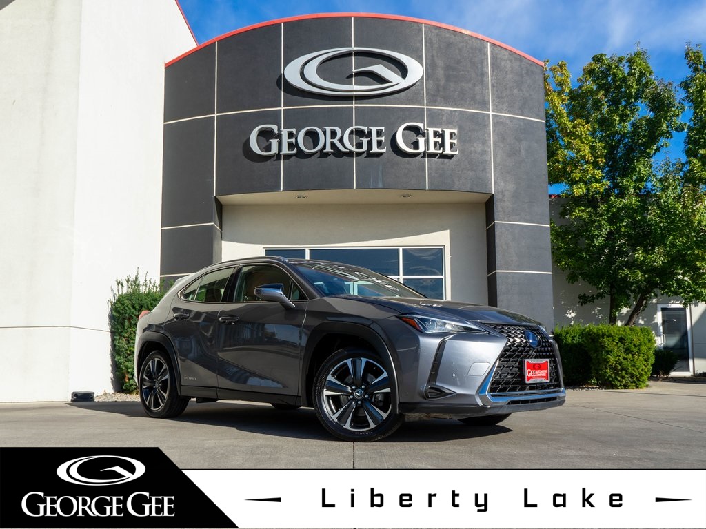 2021 Lexus UX Hybrid 250h's photo