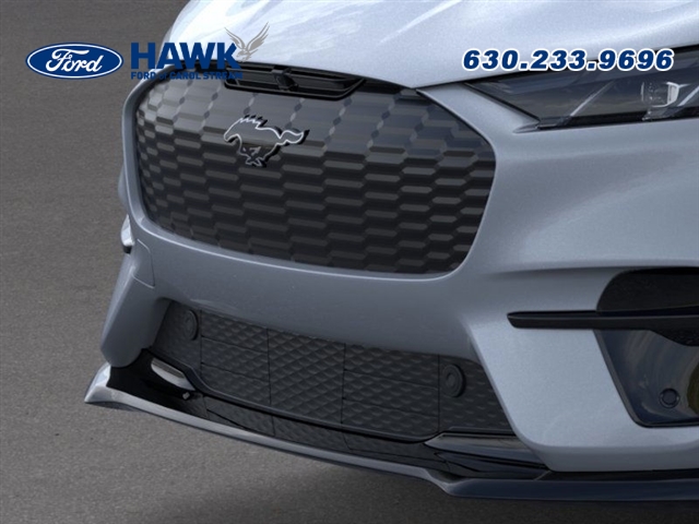2025 Ford Mustang Mach-E GT photo 14
