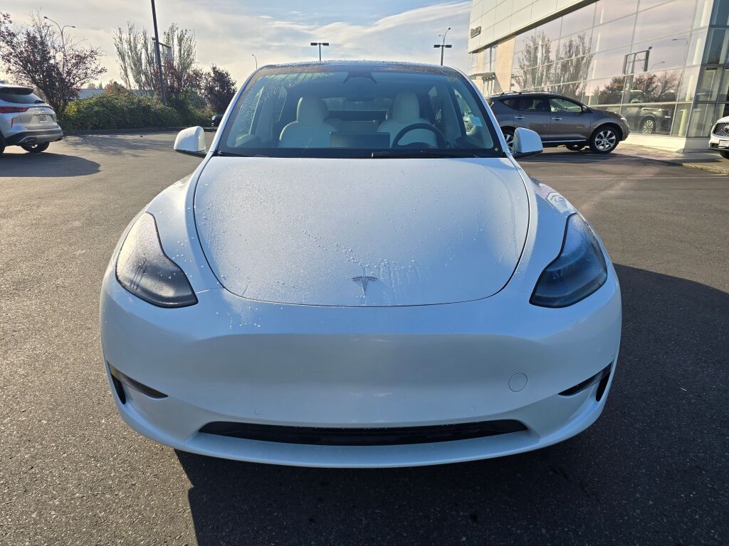 Used 2022 Tesla Model Y Performance with VIN 7SAYGDEF5NF567335 for sale in Fife, WA