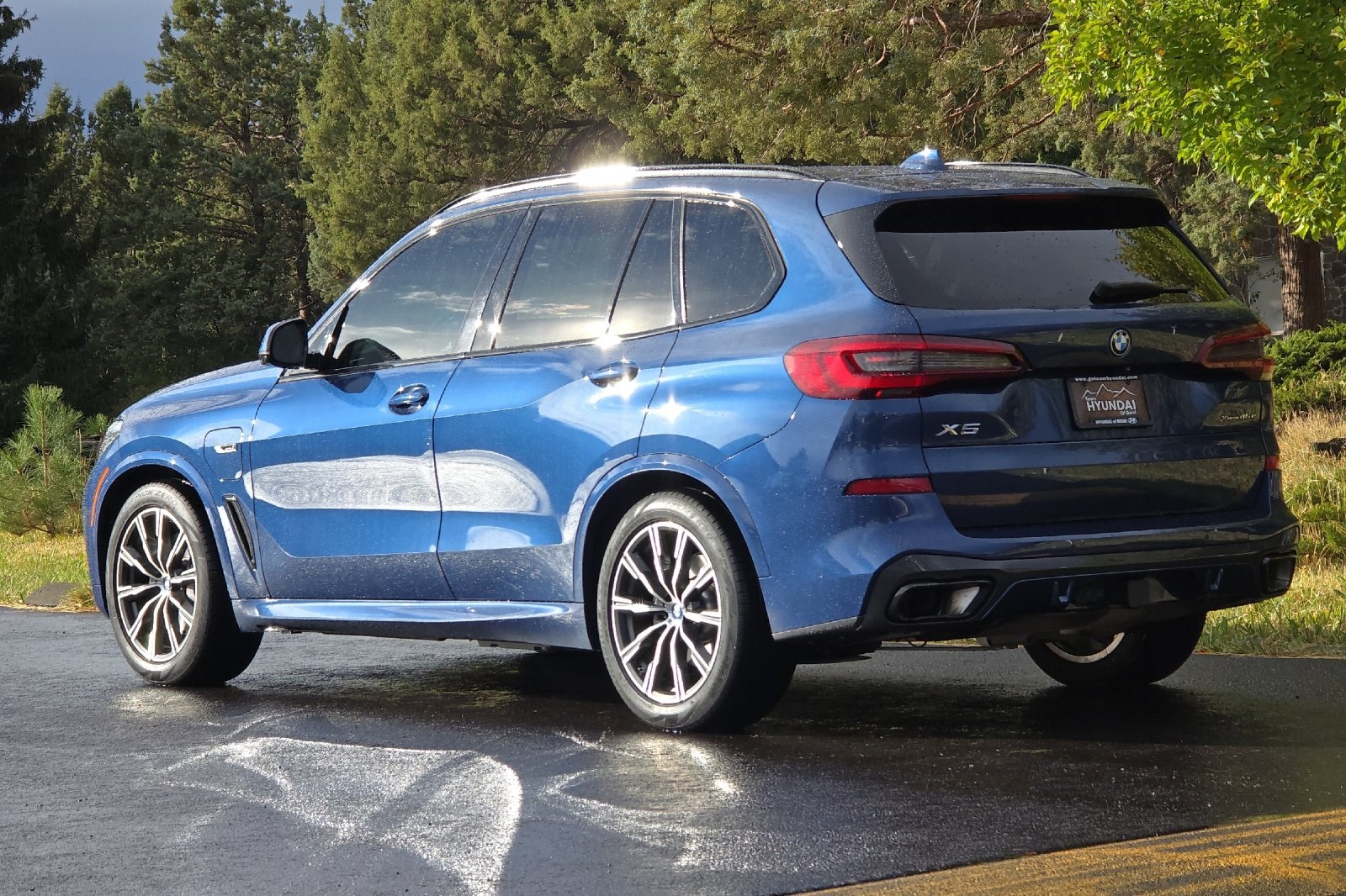 2023 Bmw X5 xDrive45e photo 4