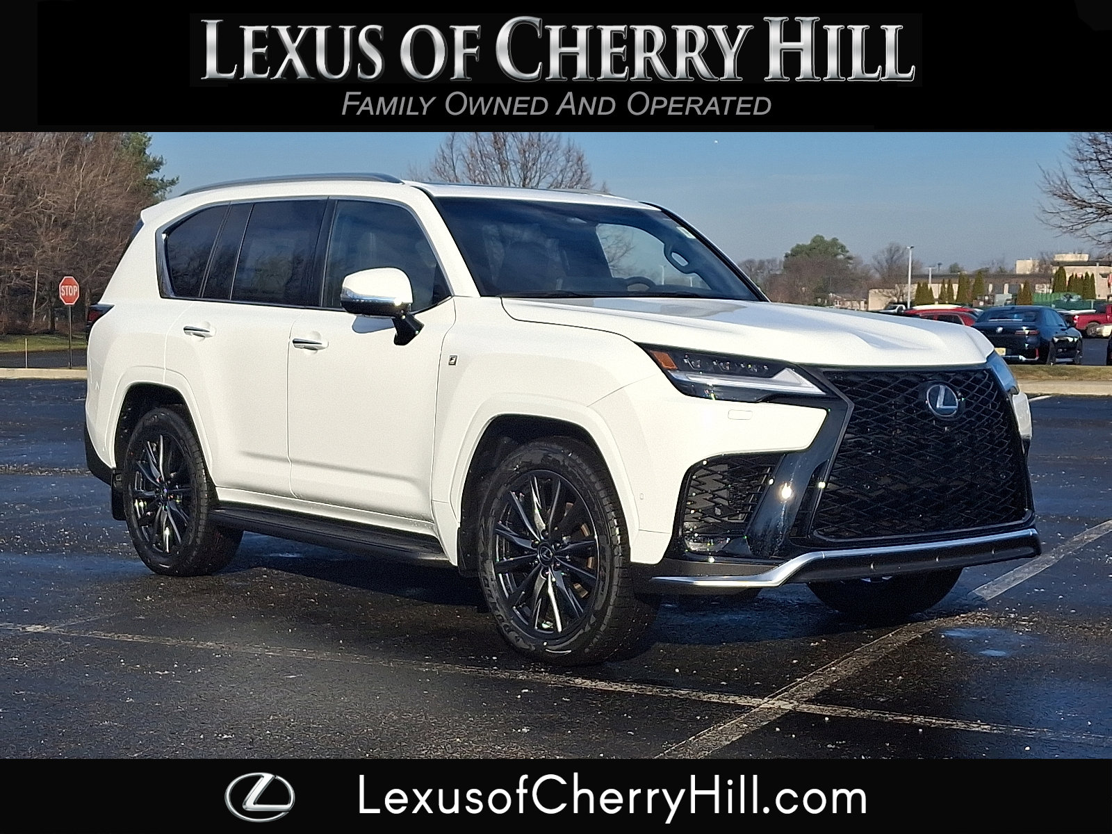 2025 Lexus LX F-Sport's photo