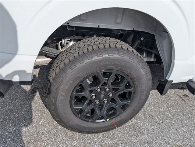 2025 Ford F-150 XLT photo 15