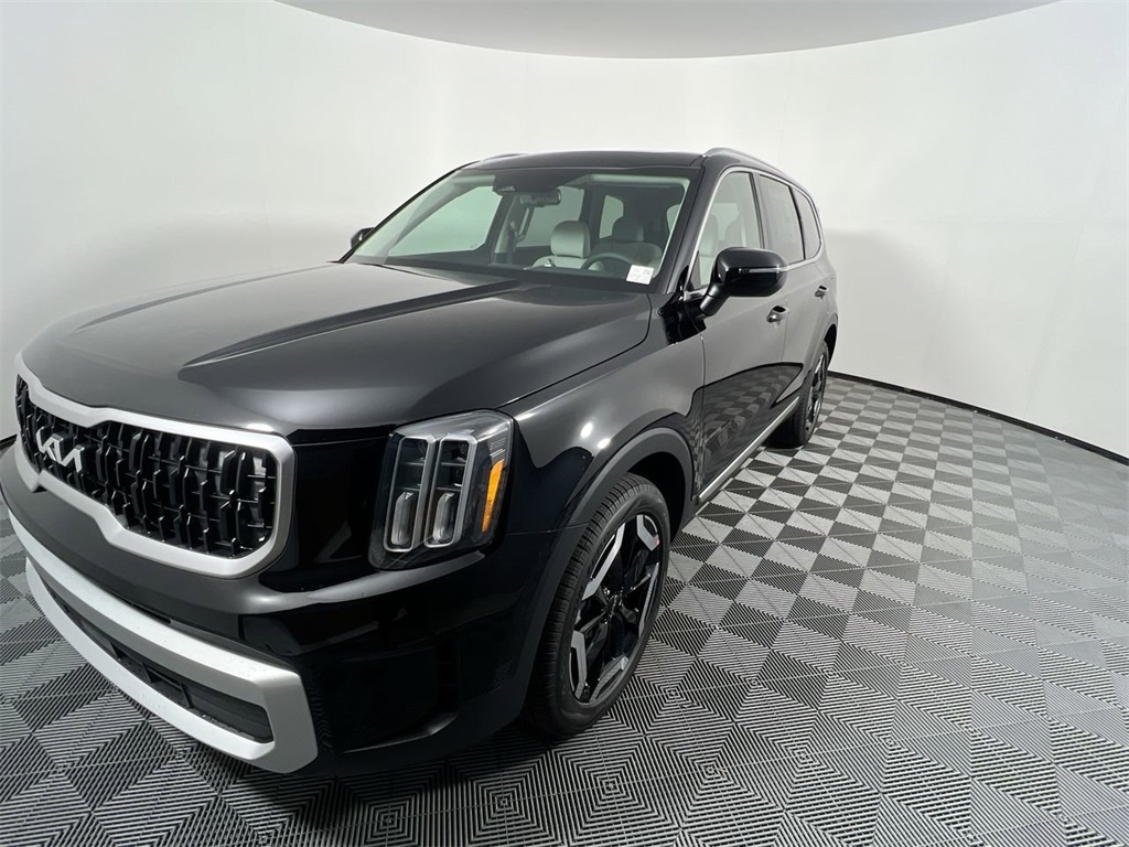 2025 Kia Telluride EX photo 8