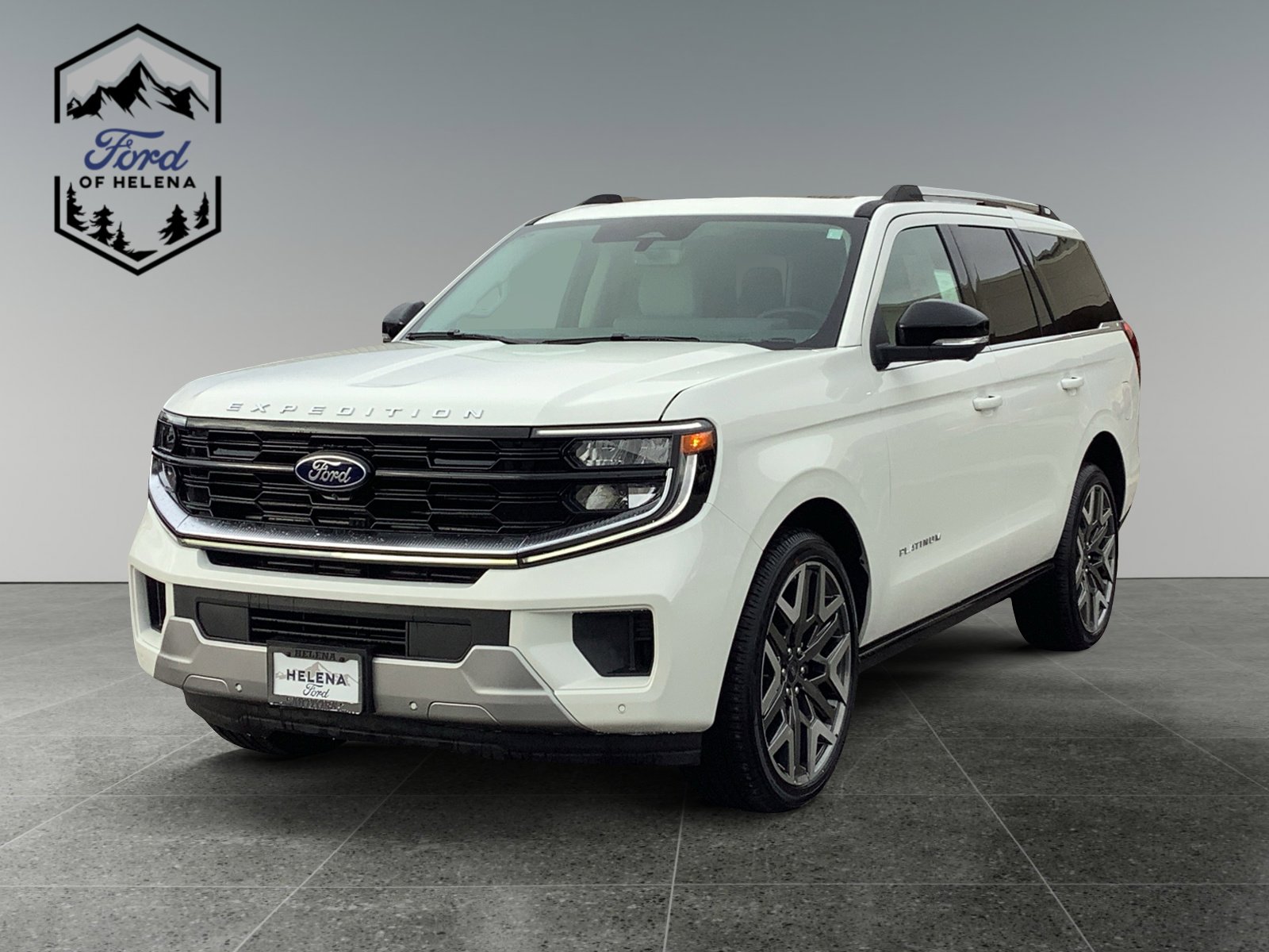 2026 Ford Expedition Platinum's photo