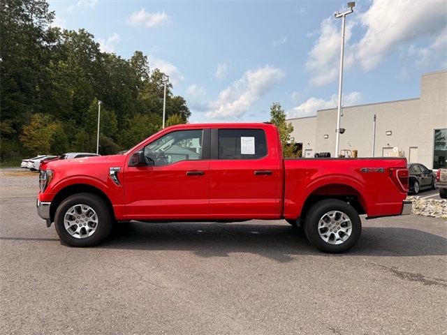 2023 Ford F-150 XLT photo 3